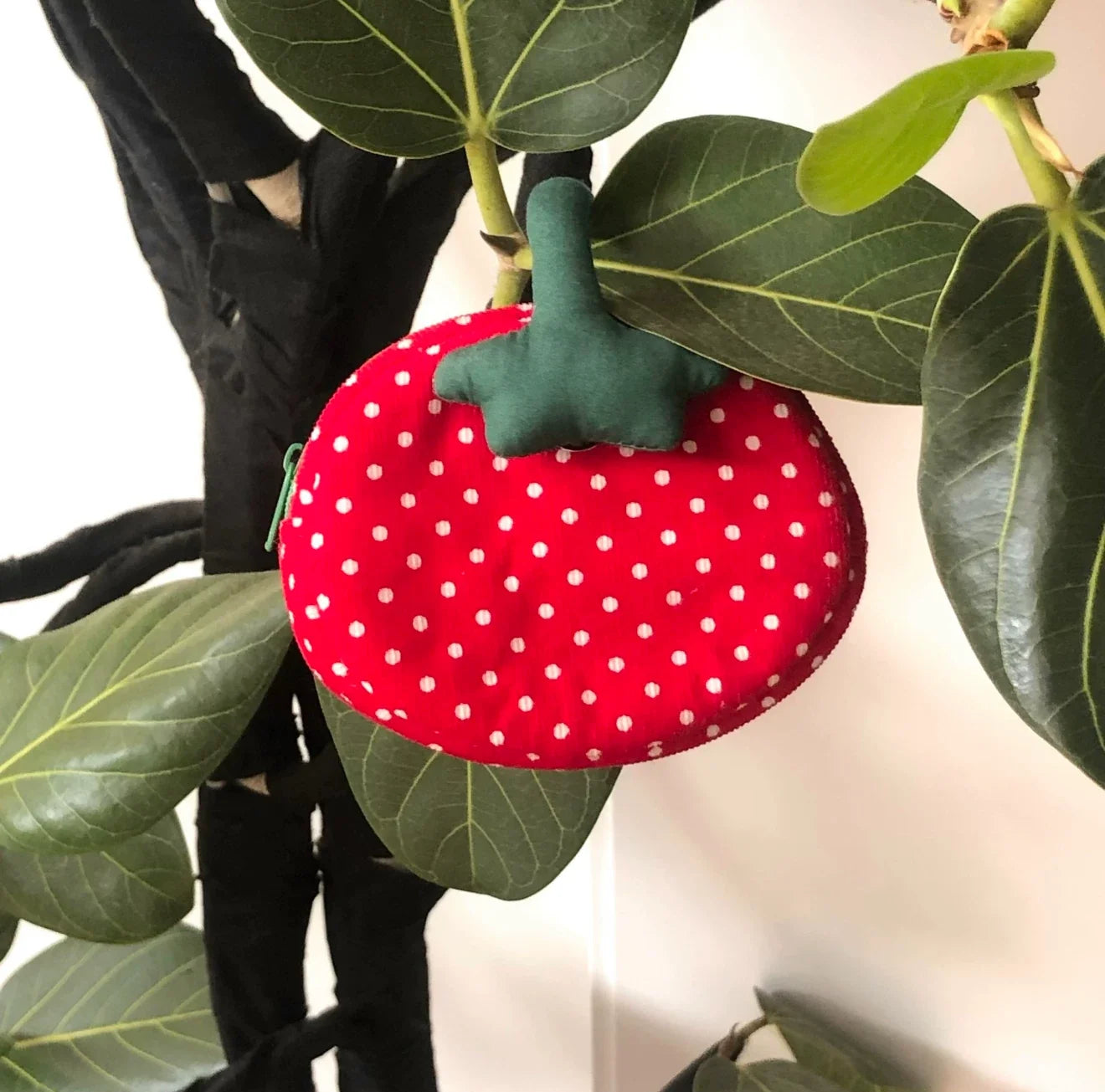 polka tomato pouch π
β¨