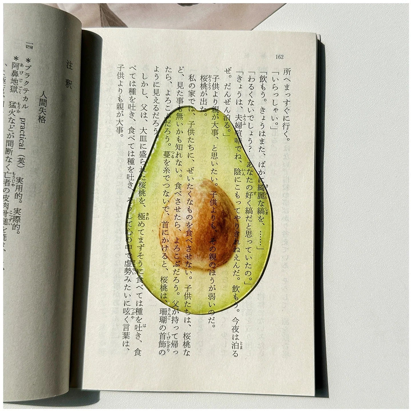 fruit acrylic bookmarks