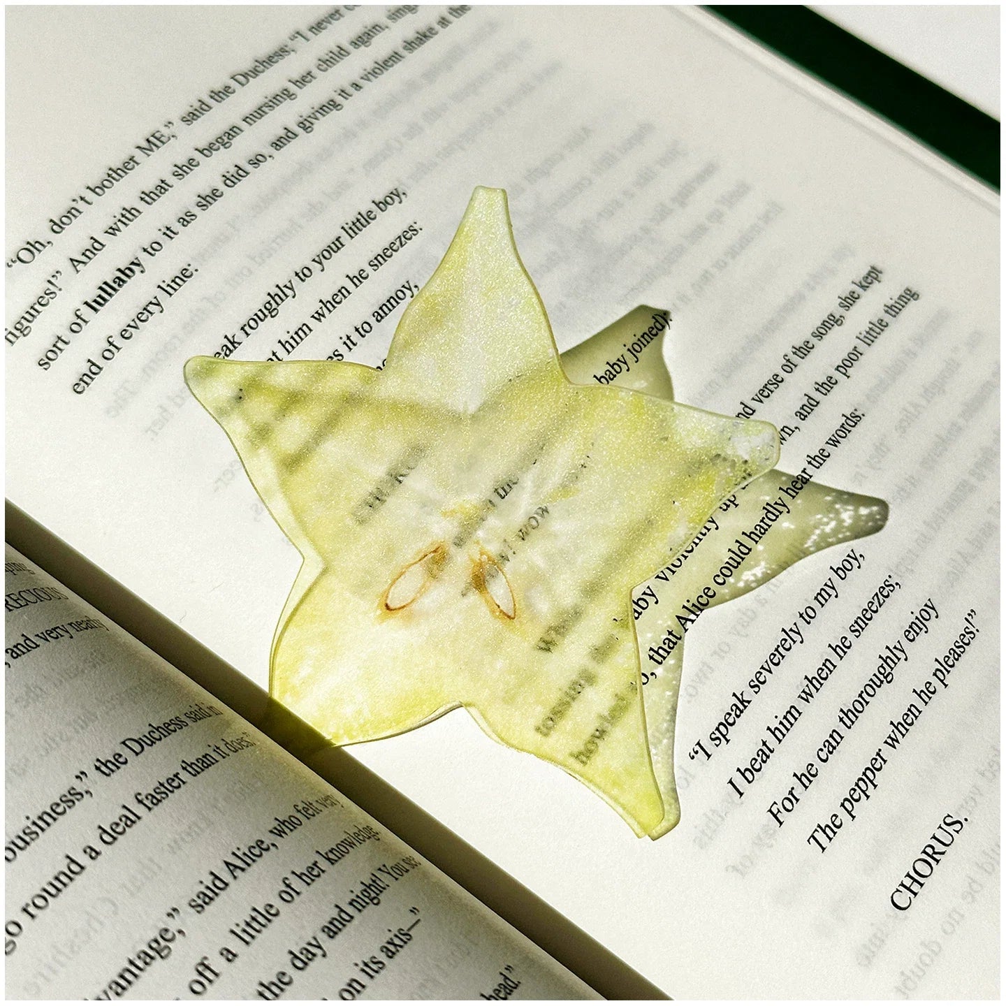 fruit acrylic bookmarks