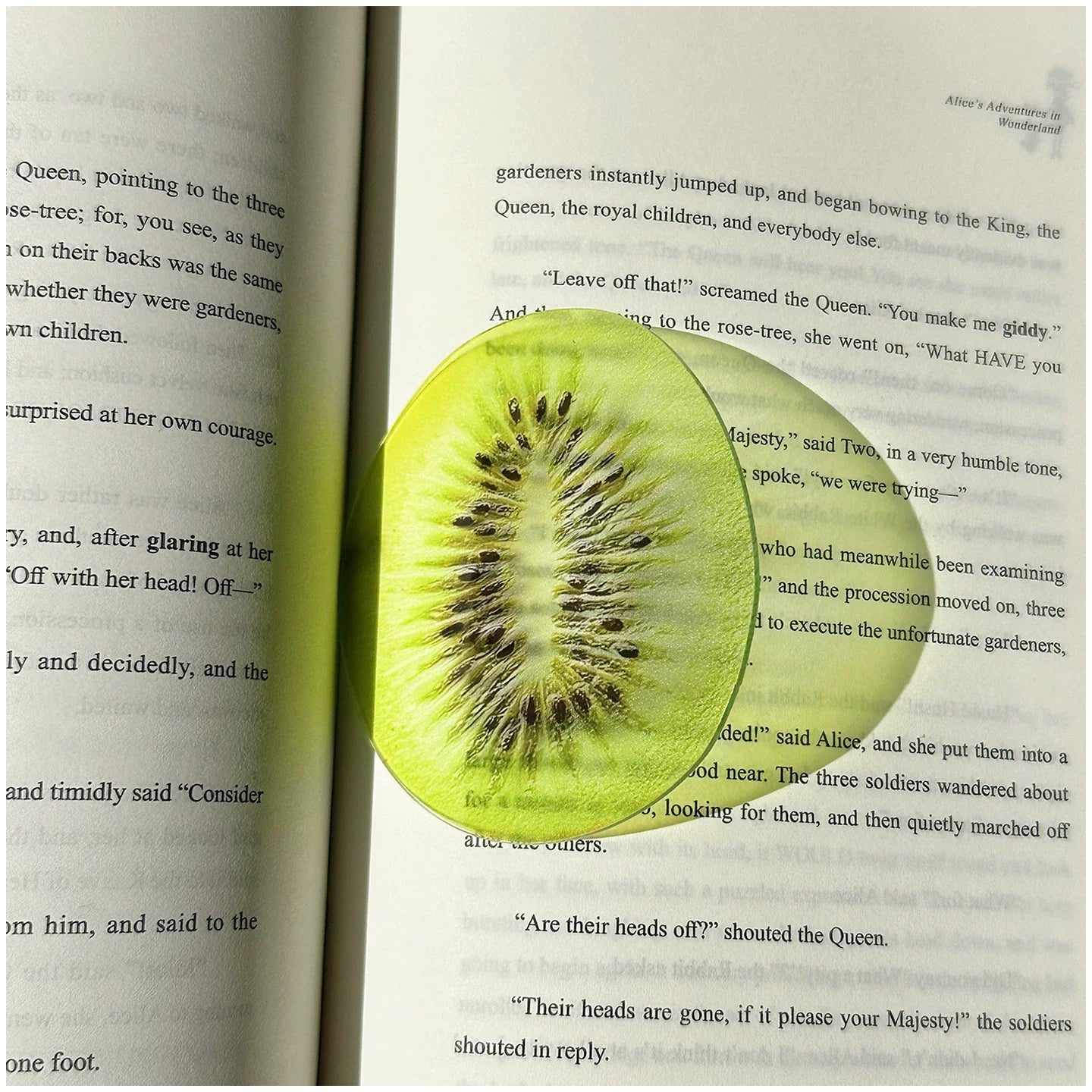 fruit acrylic bookmarks
