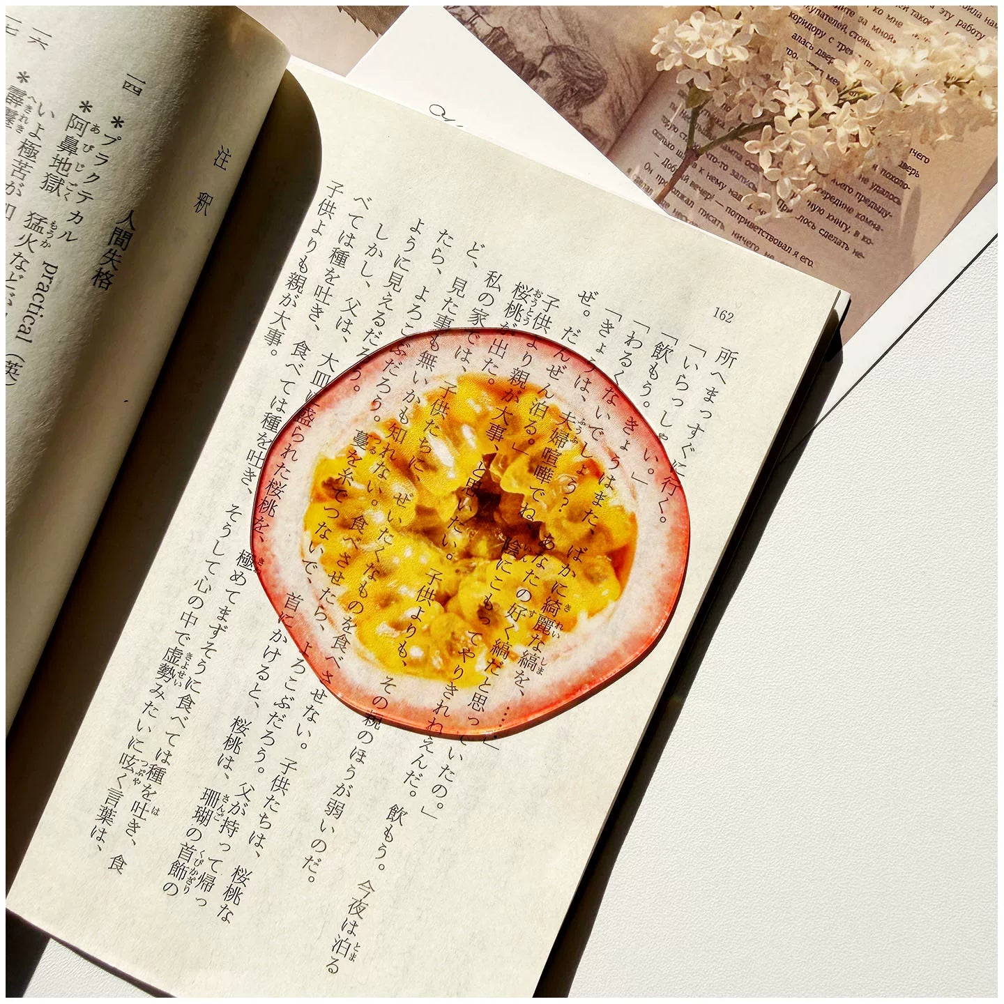 fruit acrylic bookmarks