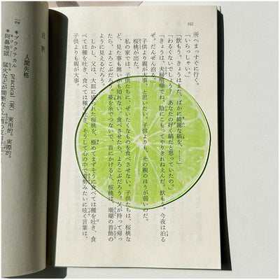 fruit acrylic bookmarks