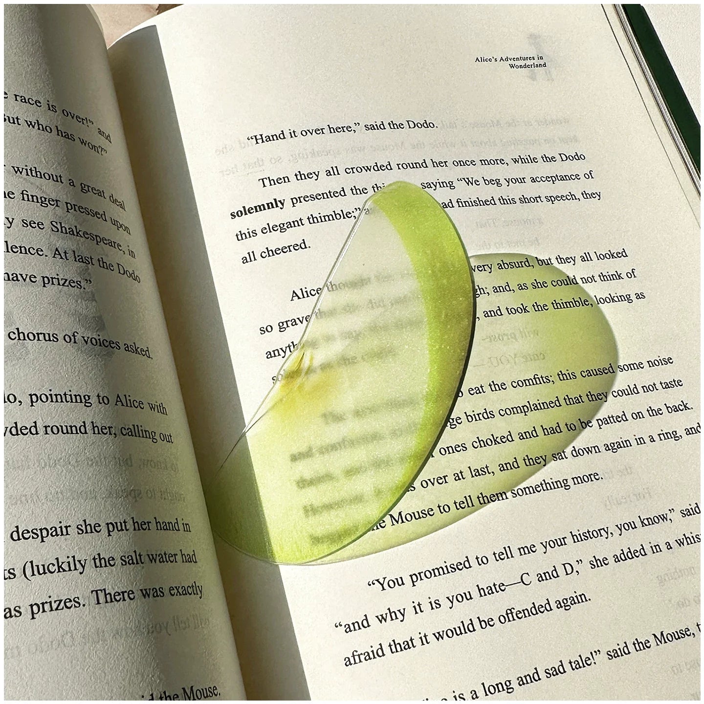 fruit acrylic bookmarks