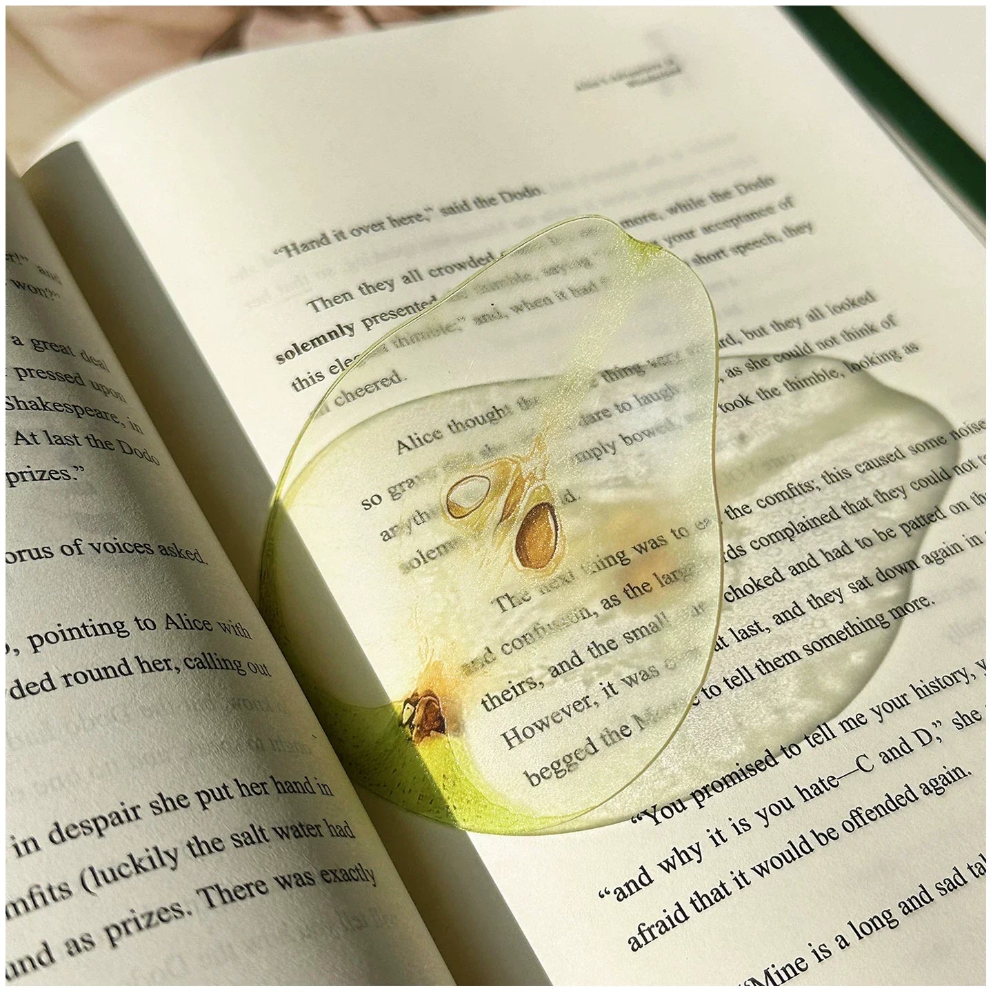 fruit acrylic bookmarks