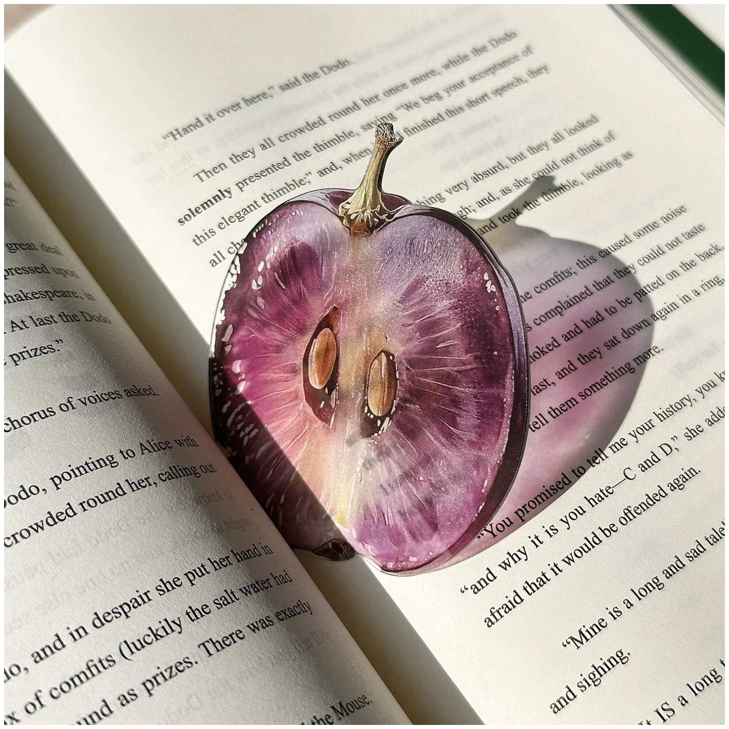 fruit acrylic bookmarks