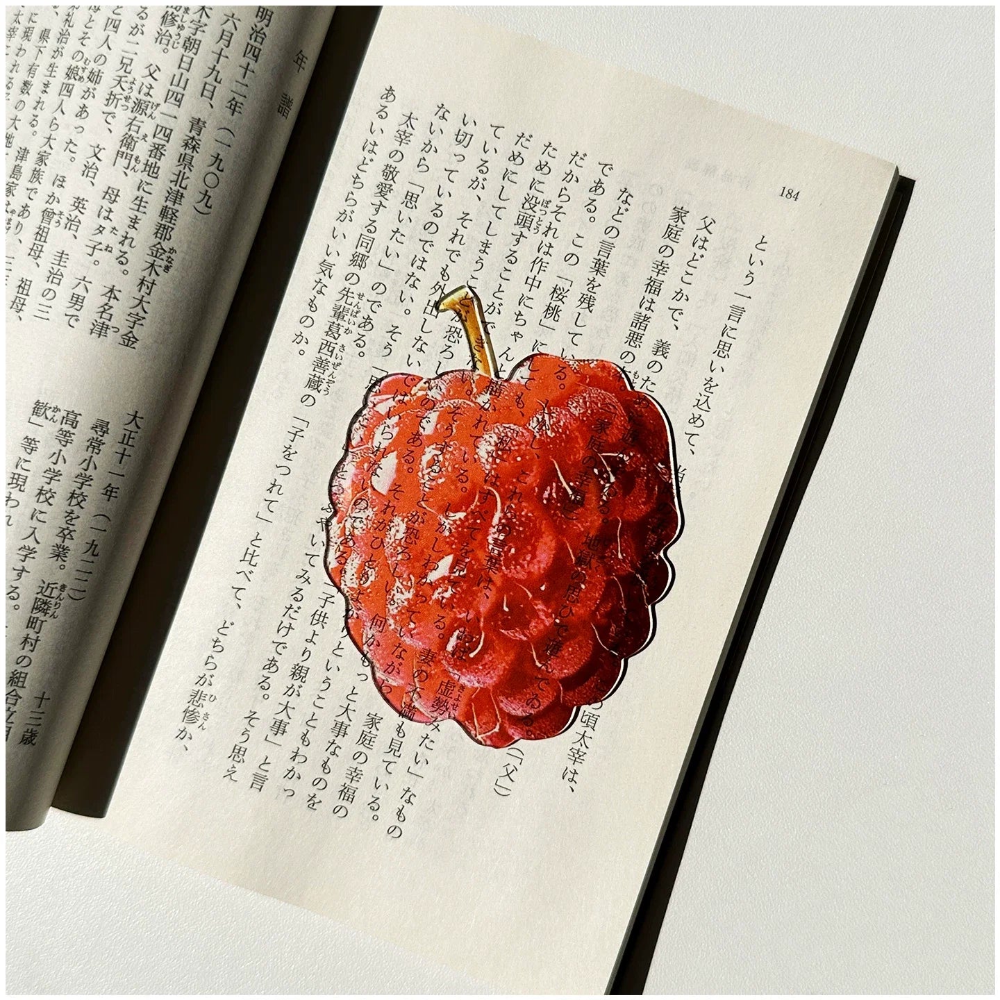 fruit acrylic bookmarks