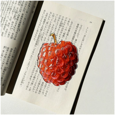 fruit acrylic bookmarks