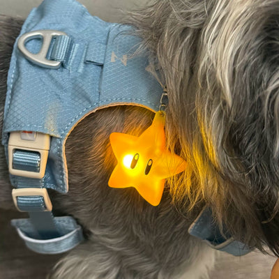 glowing star keychain