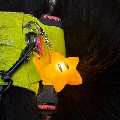 glowing star keychain