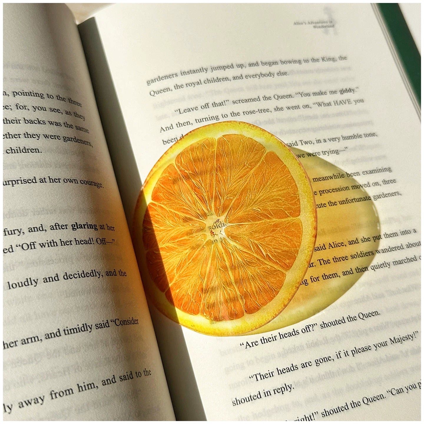 fruit acrylic bookmarks