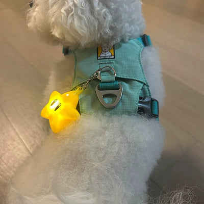 glowing star keychain